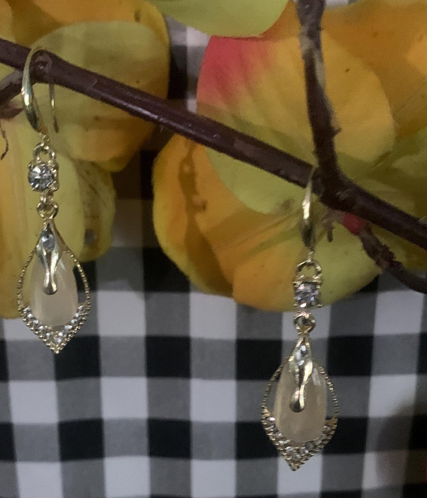 Jeweled Pair of Earrings